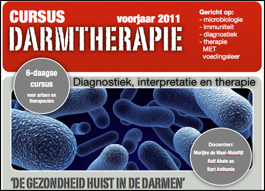 Afbeelding 12